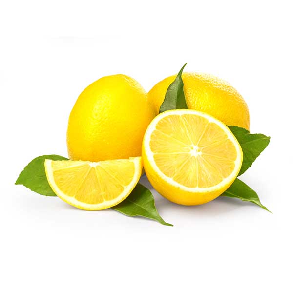600px_0005_shutterstock_549291445